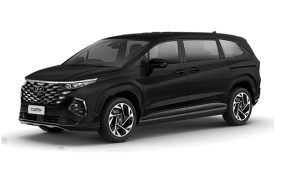 Custin 1.5 Đặc Biệt