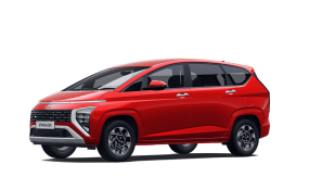 STARGAZER TIÊU CHUẨN